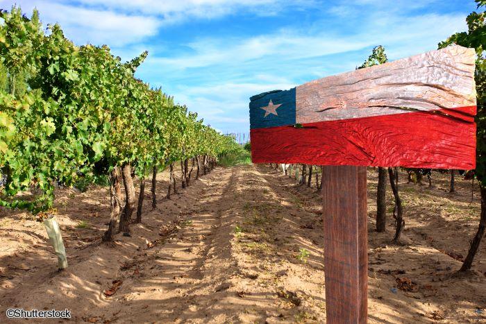 Voyage en petit groupe au Chili