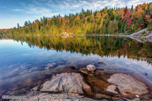Reflet d'une forêt aux couleurs de l'été indien sur un lac paisible lors d'un voyage au Canada
