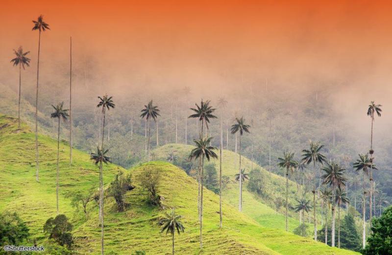 Voyage en petit groupe en Colombie