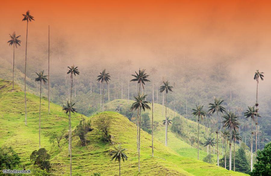 Voyage en petit groupe en Colombie