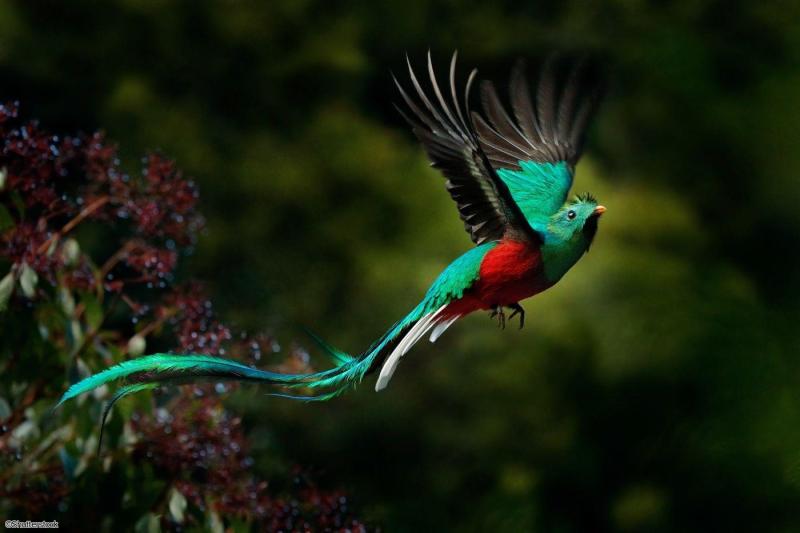 Voyage au Costa Rica