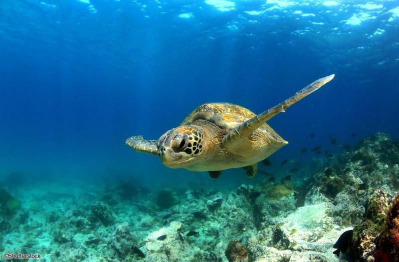 Voyage en petit groupe en Equateur et aux Galapagos