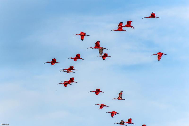 Voyage au Brésil dans les Lençois Maranhenses