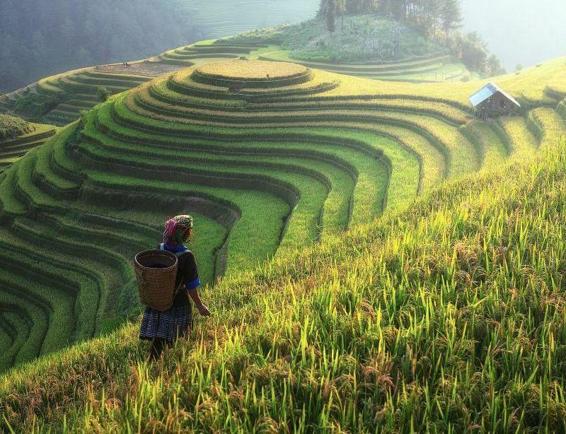 Voyage en petit groupe au Vietnam
