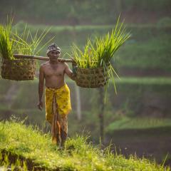 shutterstock_1045858426.jpg