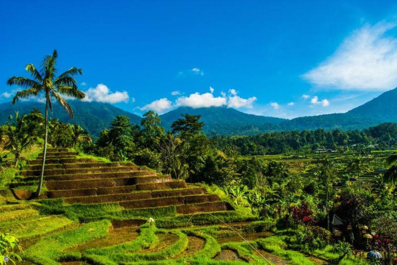 Voyage en famille à Bali