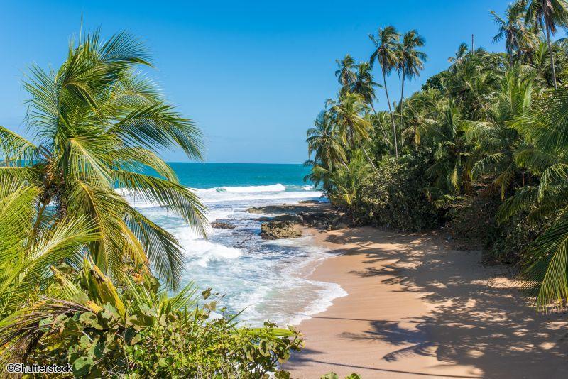 Circuit au Costa rica