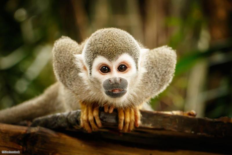 Voyage en petit groupe en Equateur et aux Galapagos