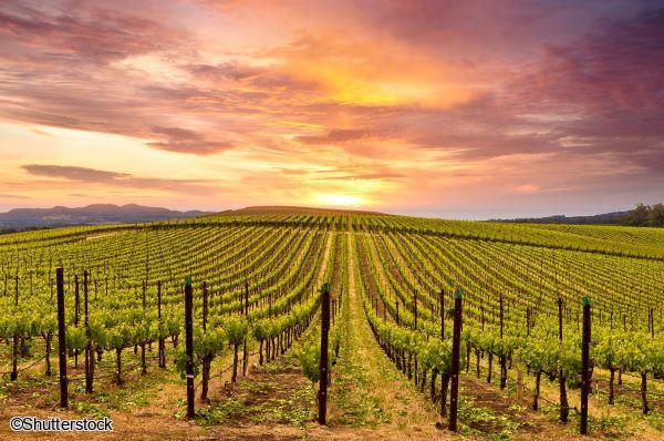 Voyage en petit groupe dans l'Ouest Américain