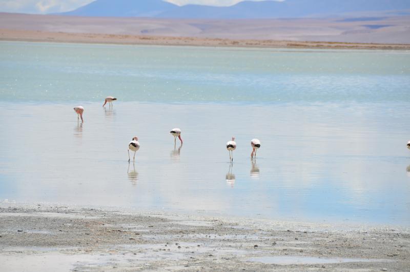 Voyage en Bolivie de 2 semaines