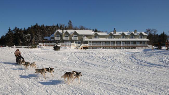 Balade en chiens de traineau sur le lac