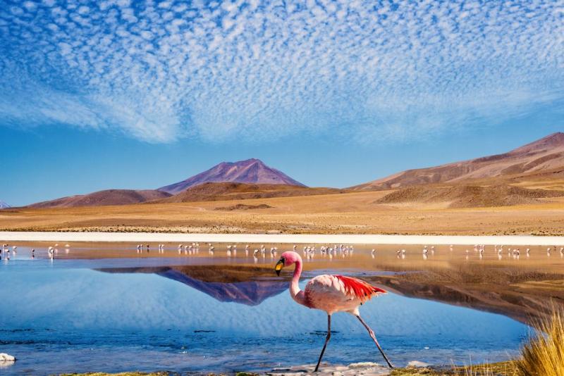 Circuit en Bolivie