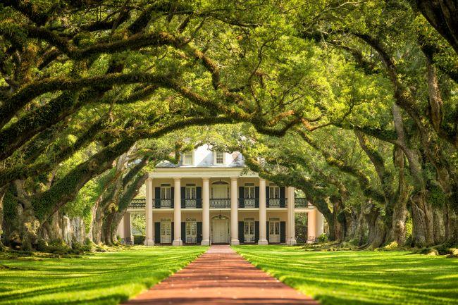 La magnifique allée de chênes centenaires menant à la demeure historique de la plantation Oak Alley en Louisiane[cite: 9].
