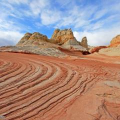 shutterstock-1071892799-1.jpg