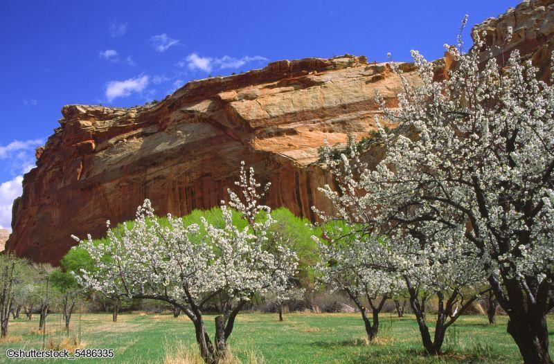 Circuit en voiture dans l'ouest Américain à la découverte des parcs emblématiques de l'Utah