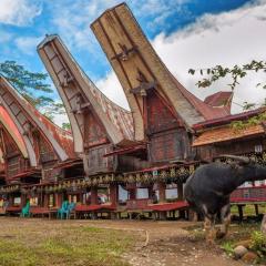 sulawesi-city-tana-toraja.jpg