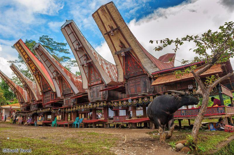Voyage en petit groupe à Sulawesi