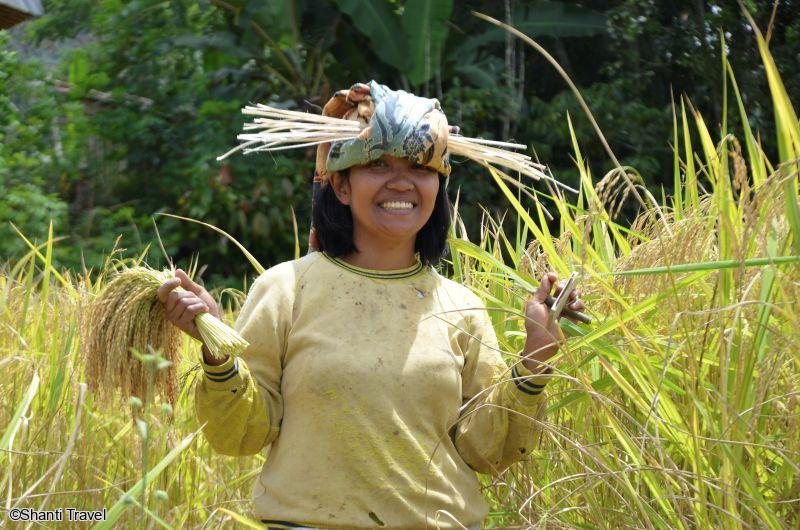 Voyage en petit groupe à Sulawesi