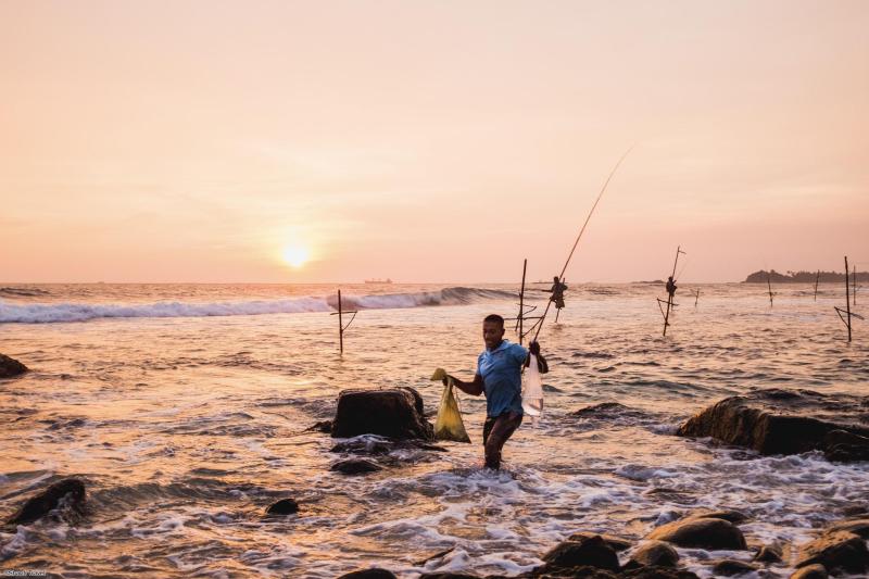 Voyage en petit groupe au Sri Lanka