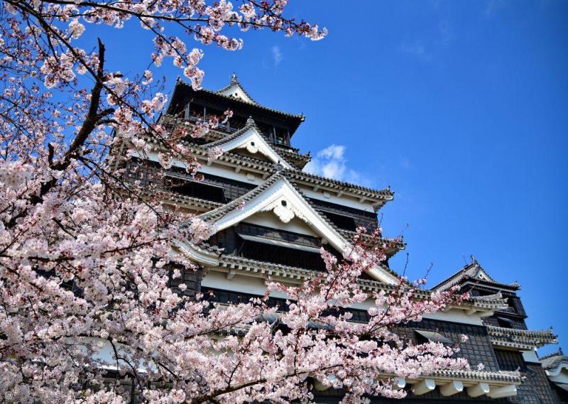Voyage en petit groupe au Japon
