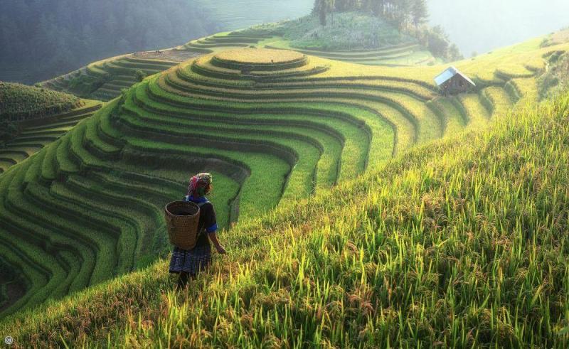 Voyage en petit groupe au Vietnam
