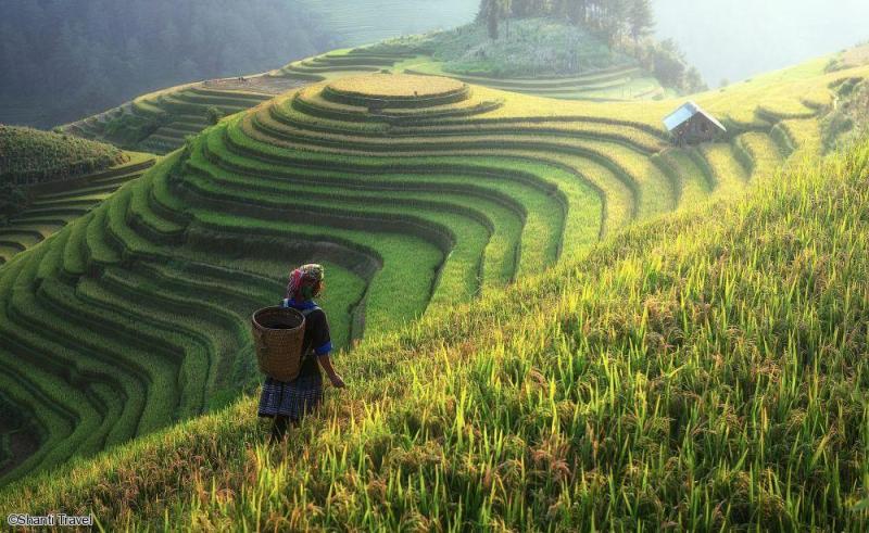 Voyage en famille au Vietnam