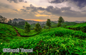 Voyage en petit groupe au Kerala