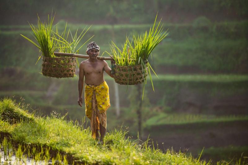Voyage en petit groupe à Bali